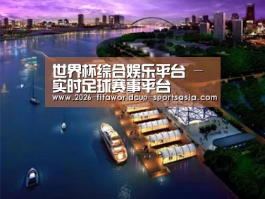 案例展示八