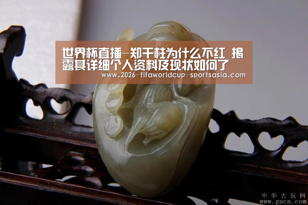  世界杯直播