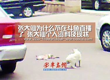  世界杯直播