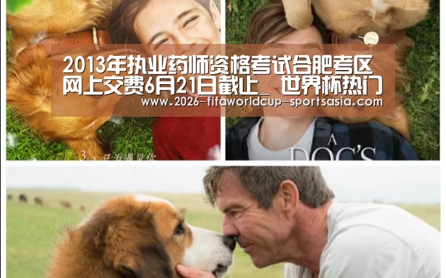  世界杯直播